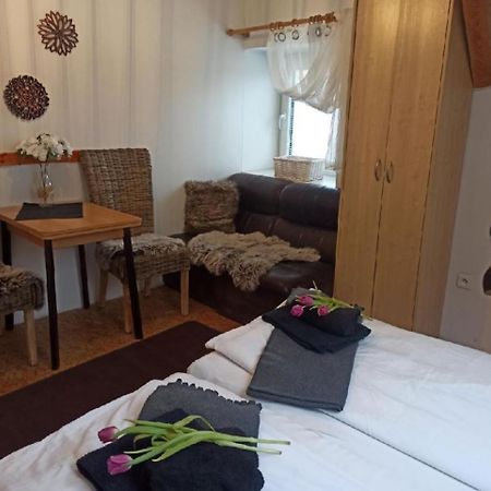 Apartmany Ziakova - Ubytovani Nove Hrady 111 Εξωτερικό φωτογραφία