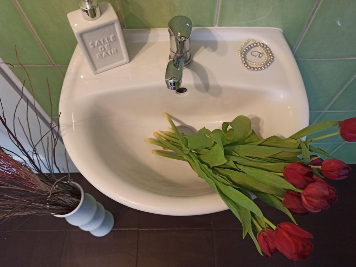 Apartmany Ziakova - Ubytovani Nove Hrady 111 Εξωτερικό φωτογραφία