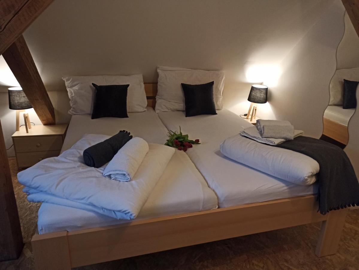 Apartmany Ziakova - Ubytovani Nove Hrady 111 Εξωτερικό φωτογραφία