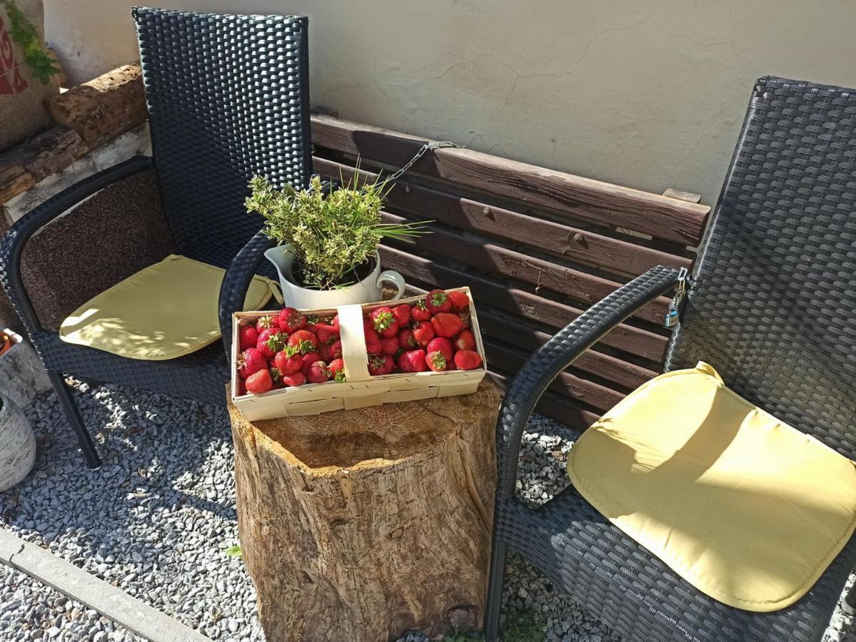 Apartmany Ziakova - Ubytovani Nove Hrady 111 Εξωτερικό φωτογραφία