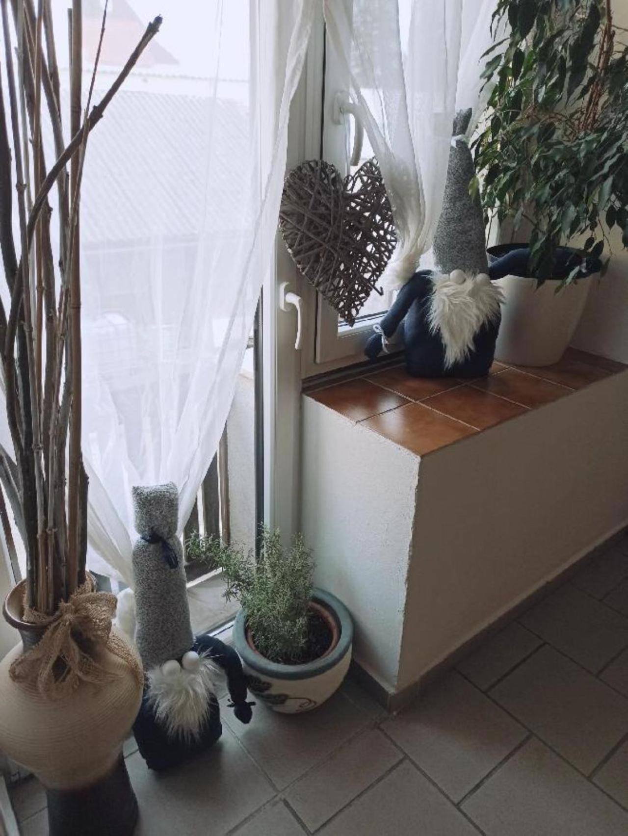Apartmany Ziakova - Ubytovani Nove Hrady 111 Εξωτερικό φωτογραφία